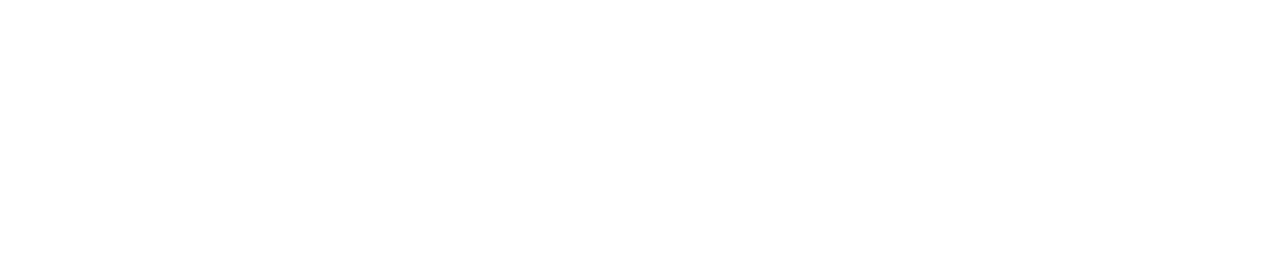 Logo Operation Nachtsprung